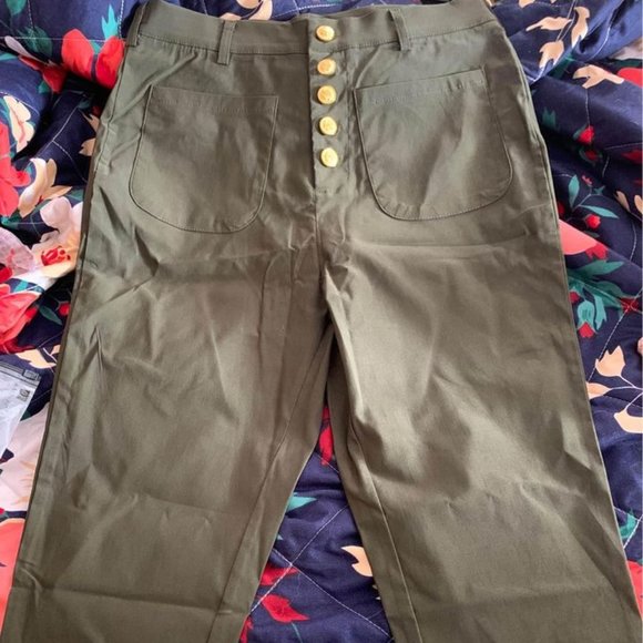 Plus Button Front Skinny Pants - Picture 1 of 1